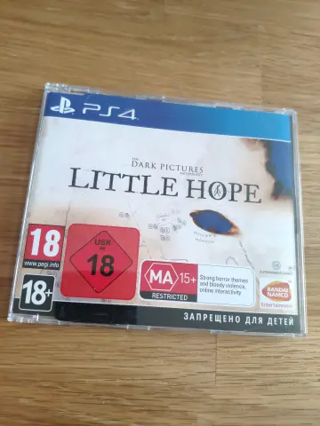PS4 The Dark Pictures Anthology: Little Hope Promotional Copy cover